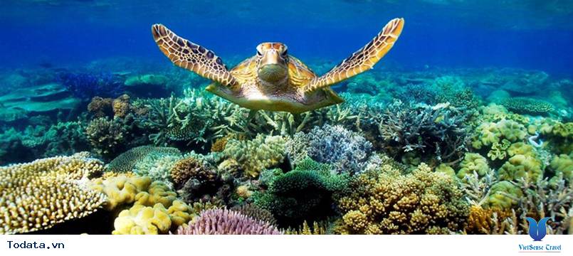 Sài Gòn Côn Đảo 4 Ngày 3 Đêm - Ảnh 3